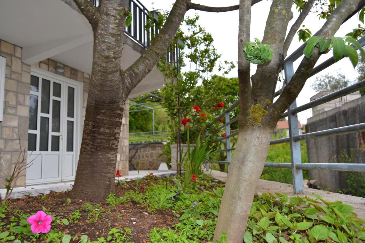 Tivat Apartments Bagian luar foto