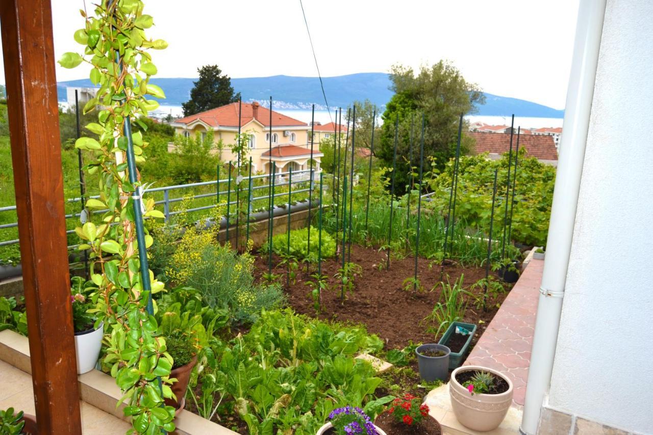 Tivat Apartments Bagian luar foto